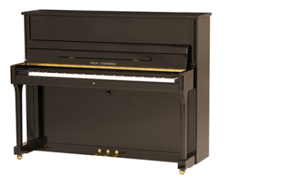 Features of Wilh Steinberg pianos